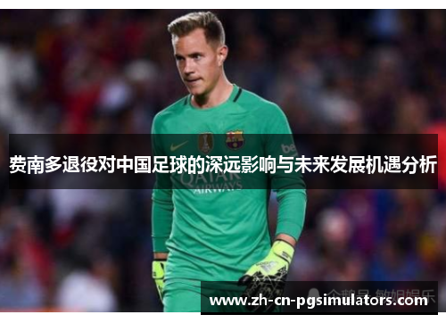 费南多退役对中国足球的深远影响与未来发展机遇分析