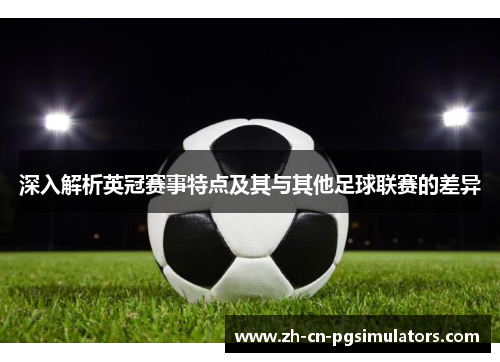 深入解析英冠赛事特点及其与其他足球联赛的差异