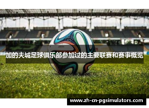 加的夫城足球俱乐部参加过的主要联赛和赛事概览